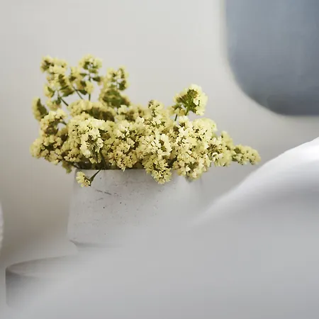 파우즈 아파트먼트 아파트 *